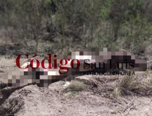 matehuala ejecutados