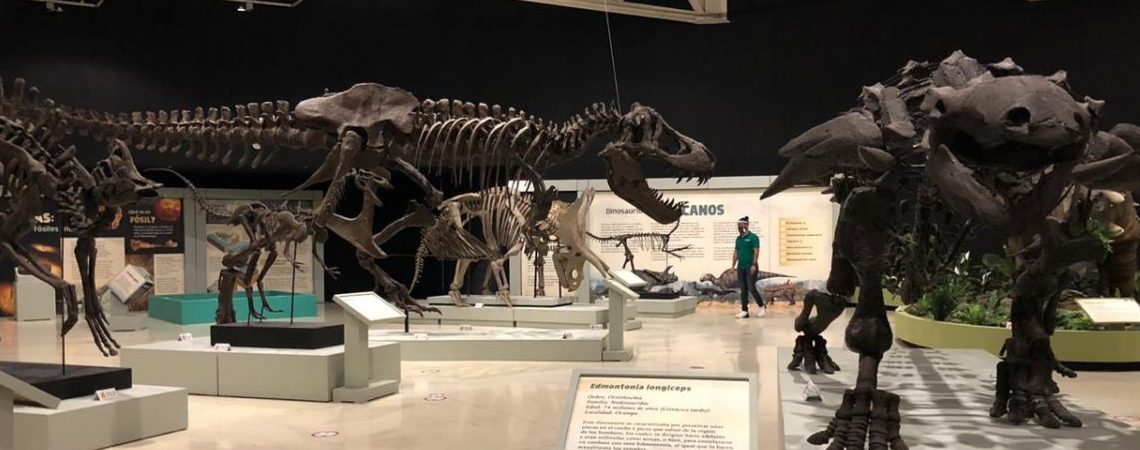museo-laberinto