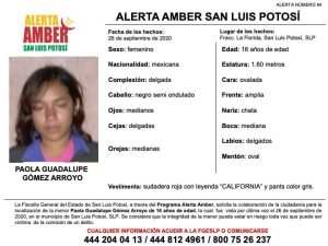 Dos menores desaparecidas - Paola Guadalupe Gómez Arroyo
