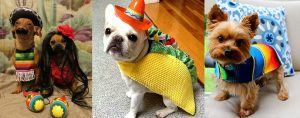 mascota-disfraz-mexicano