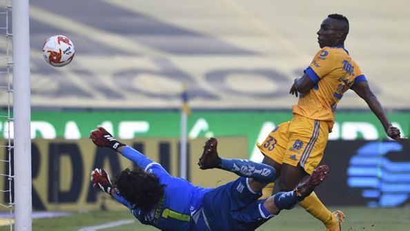 tigres-santos