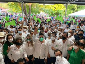 partido verde ecologista valles