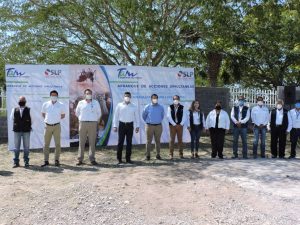 guerra contra dengue, zika y chikungunya 