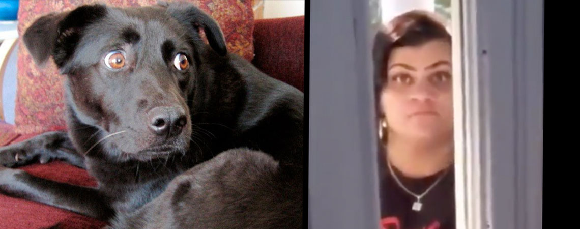 mujer-perro-wifi