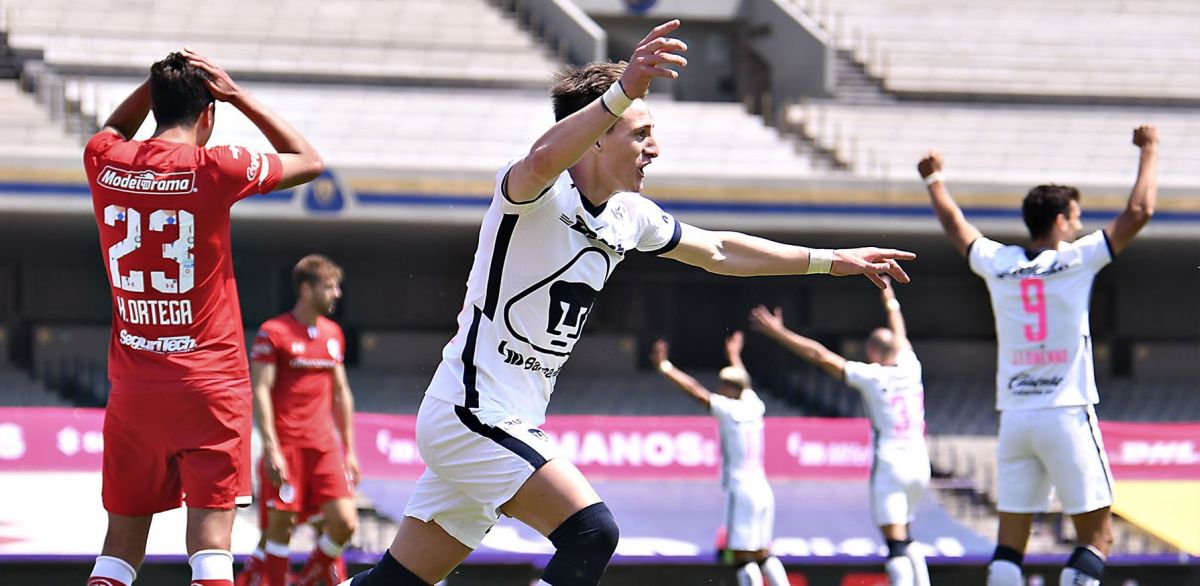 pumas