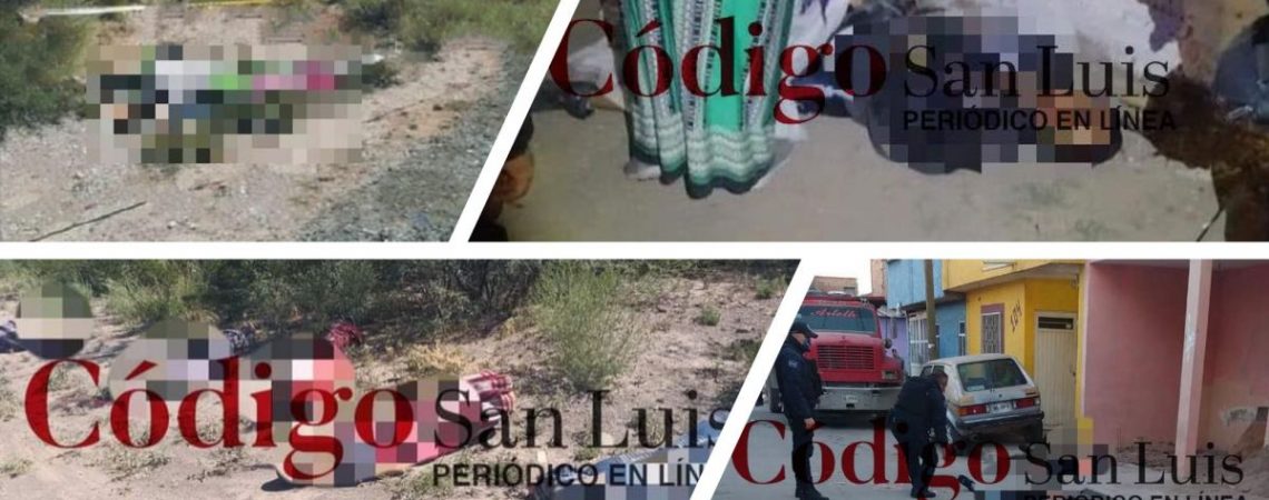 seguridad-y-justicia