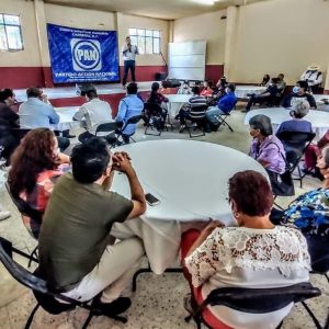 Antonio Herrán Cabrera y Álvaro Elías Loredo se suman a Octavio Pedroza