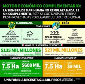 oro verde- billete de lotería nacional - xantolo 