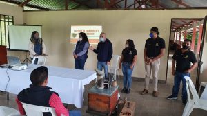 Enjambres de abejas