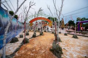 navidad tampacán 