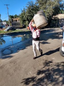 dengue en la huasteca norte 