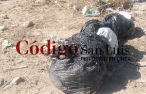 en bolsas aparece sujeto