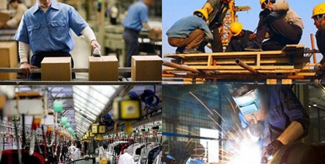 sector-productivo