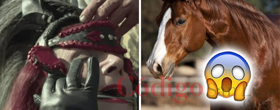 caballo-mujer