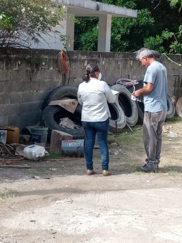 dengue en ciudad valles