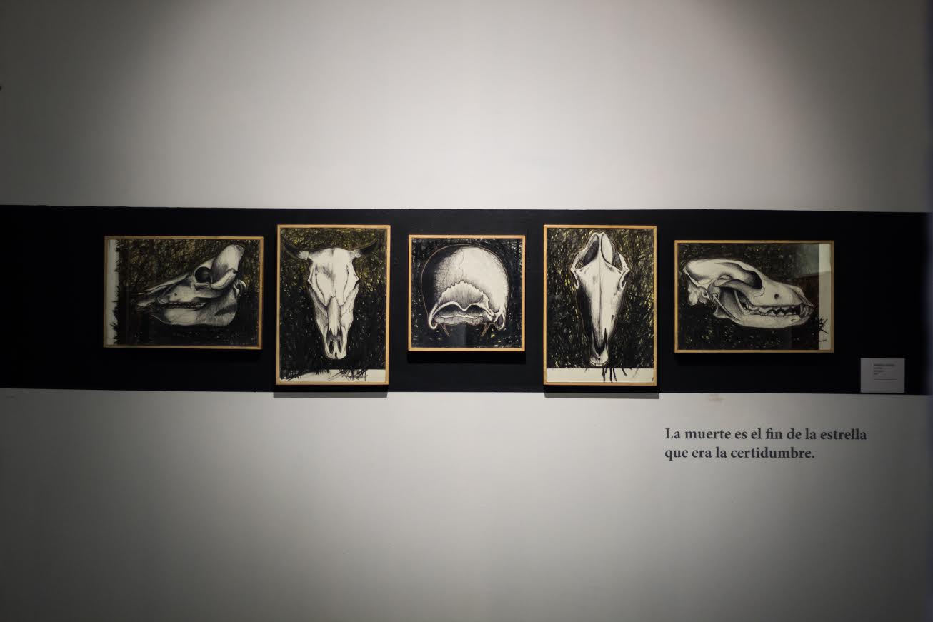 museos