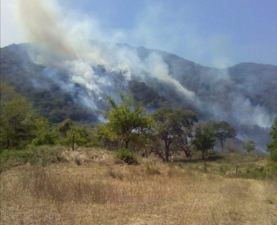 Incendio forestal sofocado en aquismón