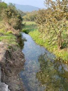 lancheros de aquismón 