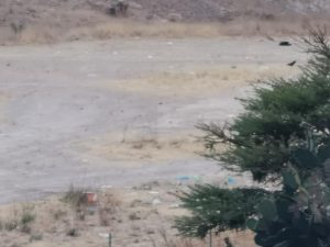 presa de mexquitic