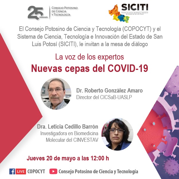 copocyt-cepas-covid