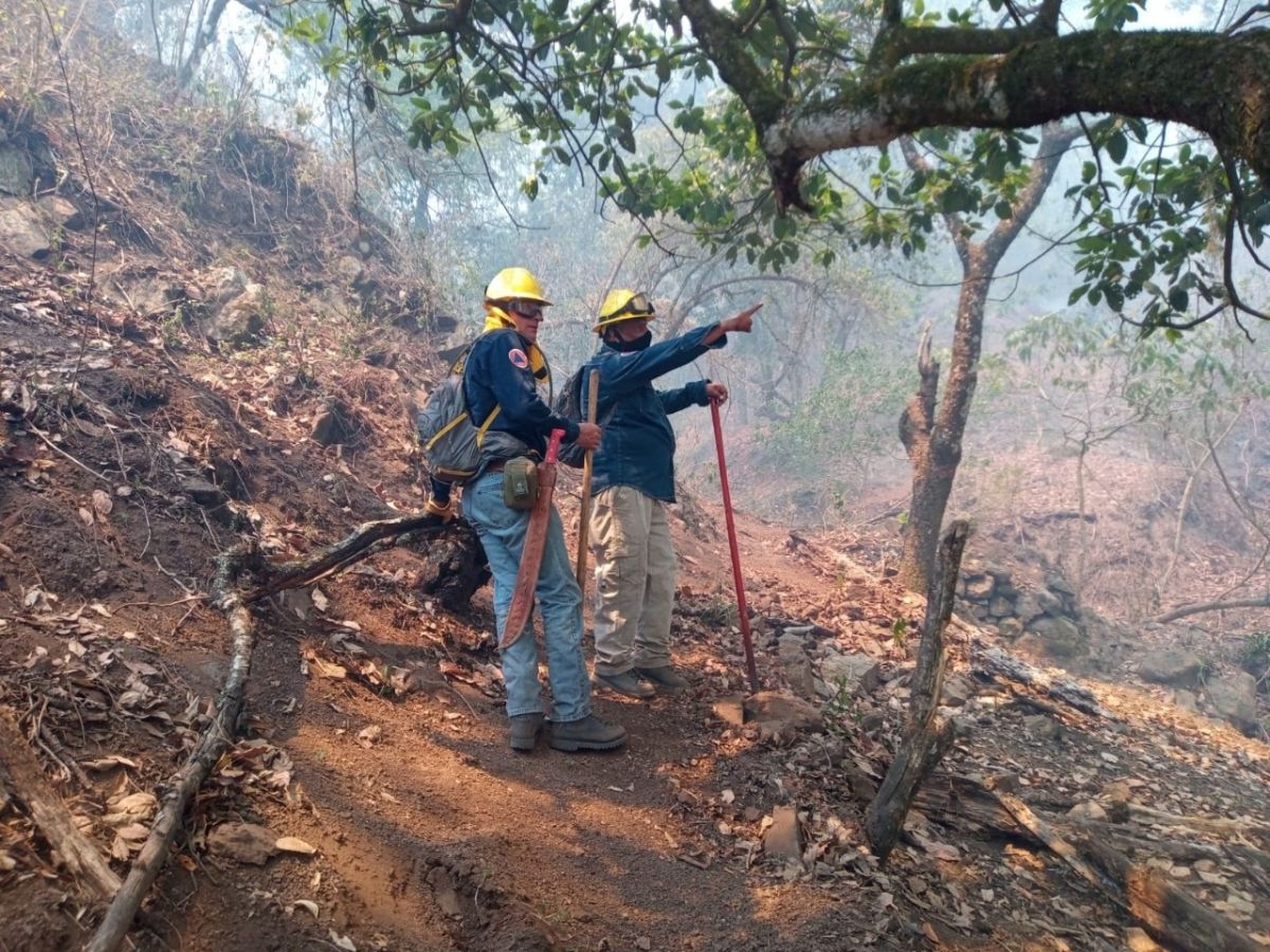 Incendios-Forestales-Huasteca