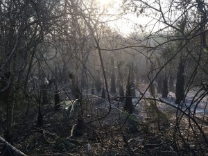 Incendios en Valles 