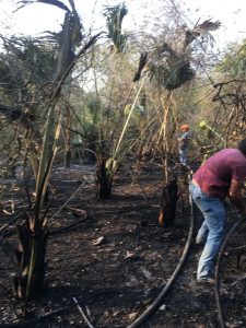 Incendios en Valles 