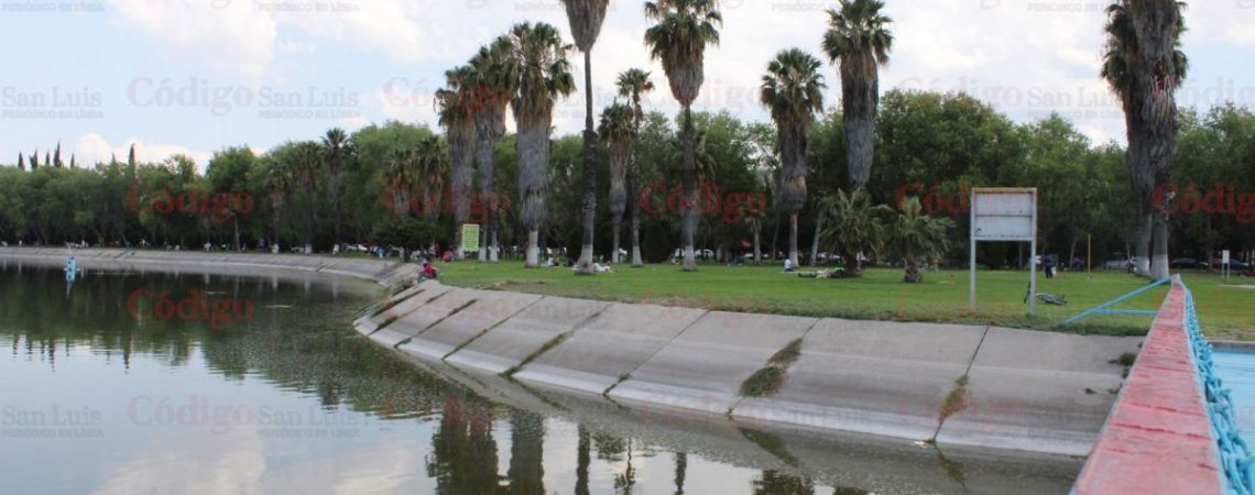 robo-parque-tangamanga-velocidad