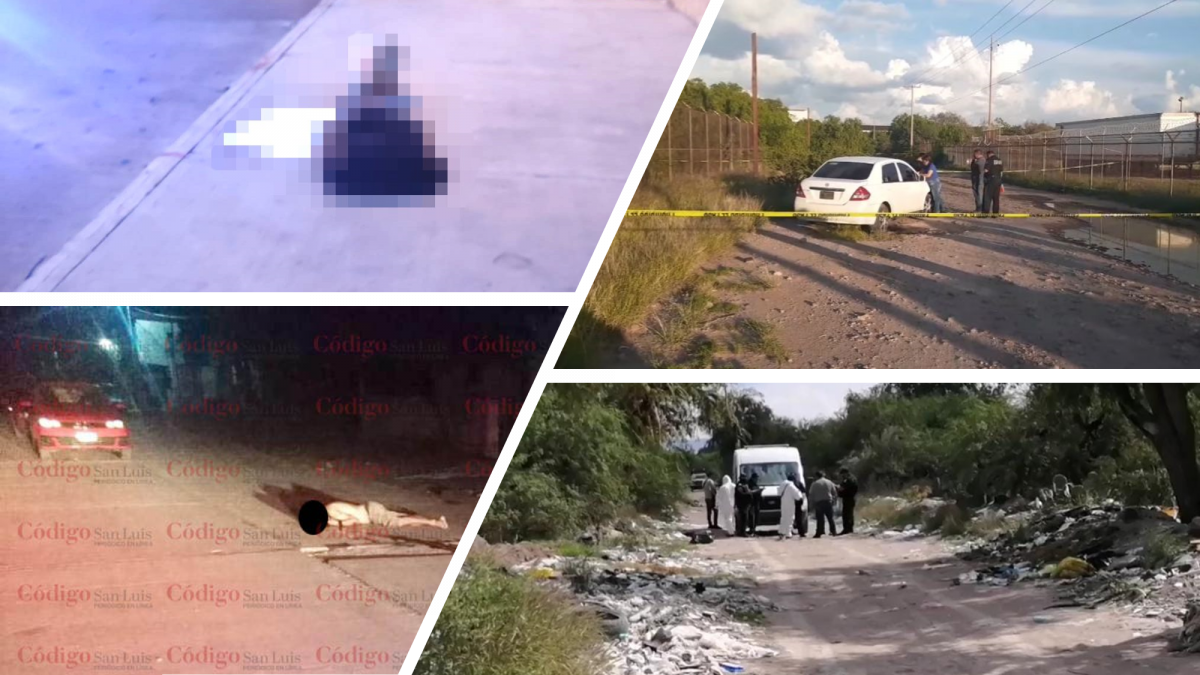 seguridad-y-justicia