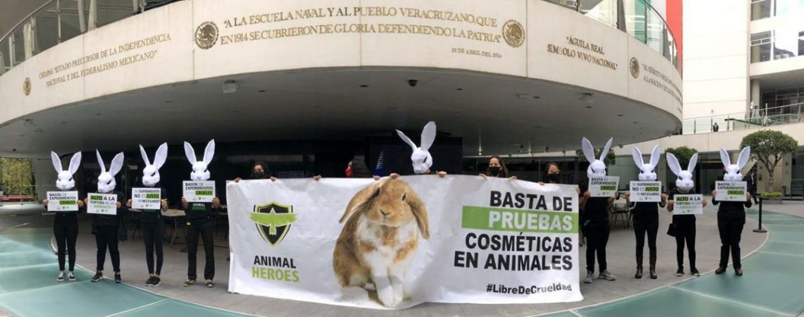 protesta-animales-senado