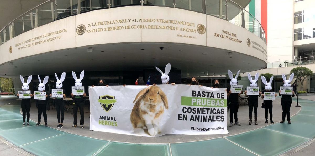 protesta-animales-senado