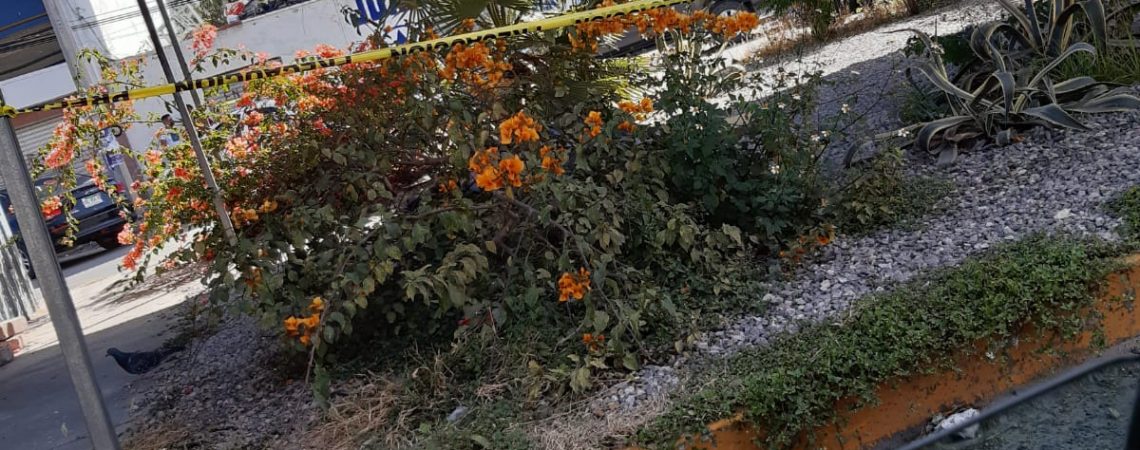 encuentran cuerpo distribuidor vial Rioverde