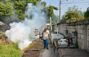 Fumigan panteones de Valles