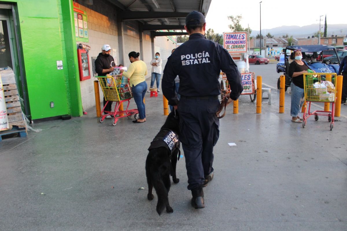 seguridad-buen-fin