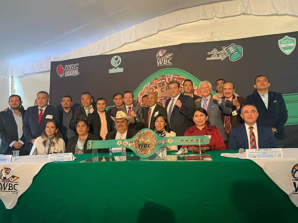Canelo Alvarez- Bordado Tének -Consejo Mundial