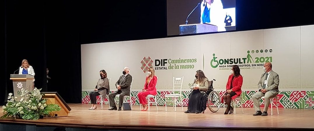 consulta-diputados