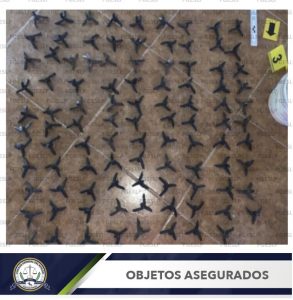 cateo-matehuala-