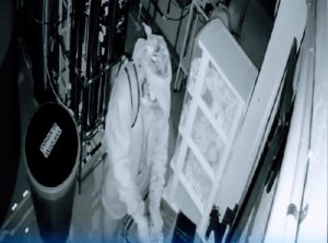 ladrones-rioverde-