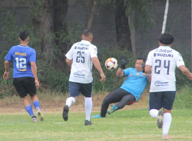 lobos-depsa