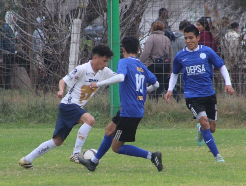 lobos-depsa