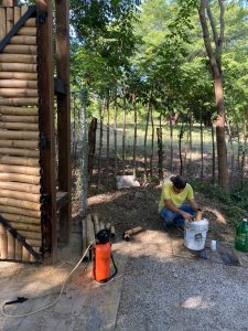 Sendero de vida-ciudad-valles