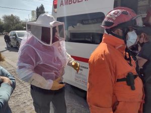 abejas-atacan-familia-