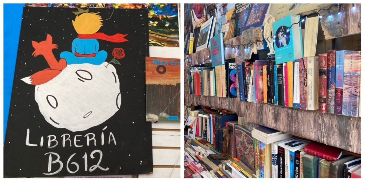 libreria asteroide b612