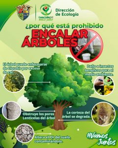 encalar árboles