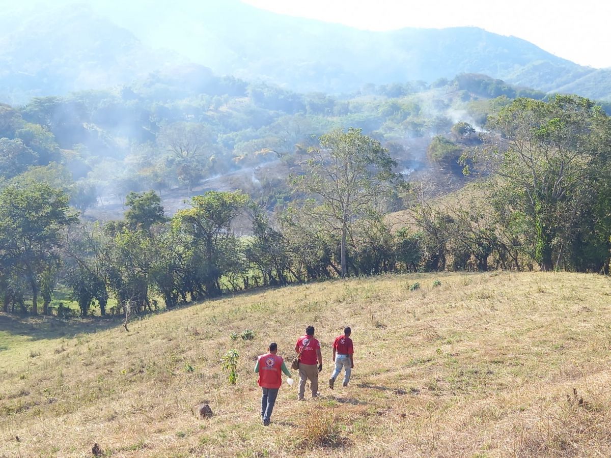 incendios