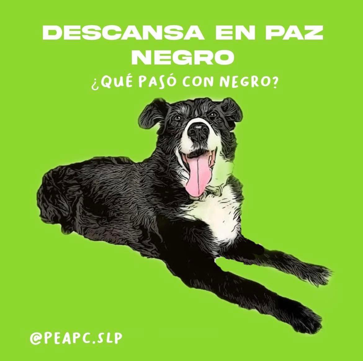 negrito-prisión