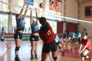 voleibol