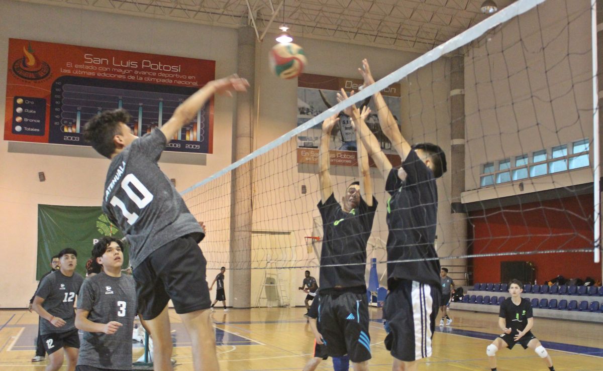 voleibol