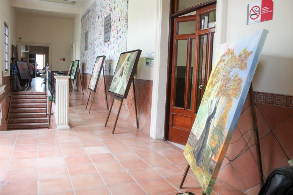 valles-arte-programa-pasillos