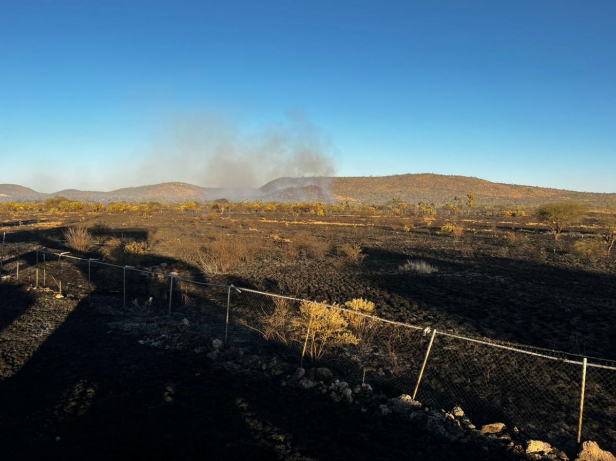 incendios-forestales